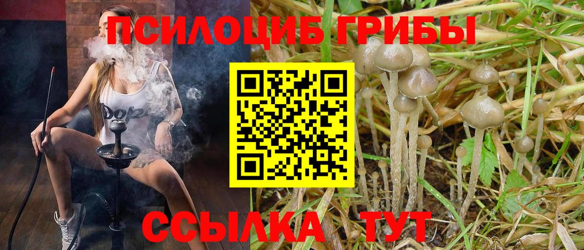 Гулькевичи  Галлюциногенные грибы Cubensis  Галлюциногенные грибы Psilocybe  Вход с VPN 
